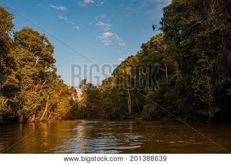 Kinabatangan River, Rainforest Of Borneo Island, Sabah Malaysia