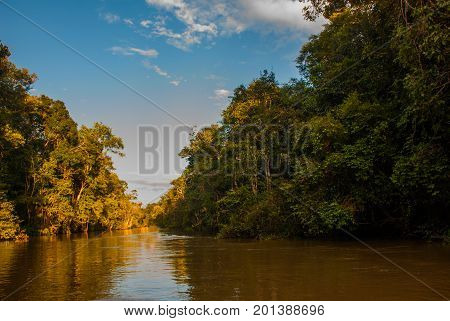 Kinabatangan River, Rainforest Of Borneo Island, Sabah Malaysia