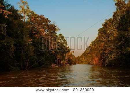Kinabatangan River, Rainforest Of Borneo Island, Sabah Malaysia. Evening Landscape Of Trees Near The
