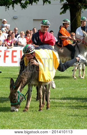 Riding A Donkey Contest