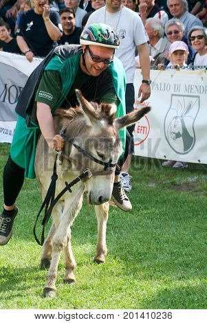 Riding A Donkey Contest