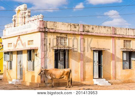 View Of The Building And Bull, Puttaparthi, Andhra Pradesh, India. Copy Space For Text.