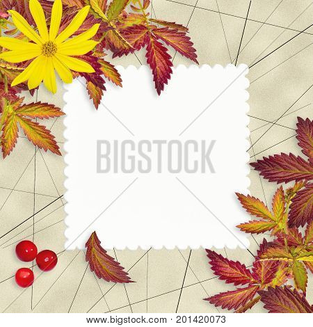 Vintage grunge autumn background with blank white sheet of paper colorful leaves yellowflower and red rowan berries. Backdrop for greeting card to Thanksgiving day birthday message about autumnal sale.