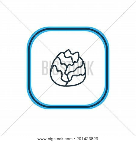 Beautiful Food Element Also Can Be Used As Cole Element.  Vector Illustration Of Cabbage Outline.