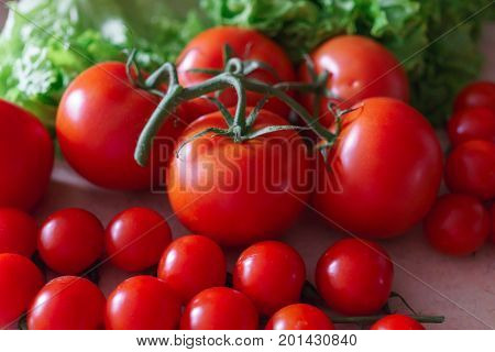 Large and small tomatoes red along with lettuce leaves.