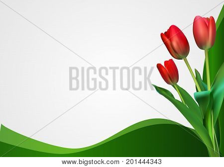 Abstract Backgroundn with Tulips Flowers. Vector Illustration EPS10