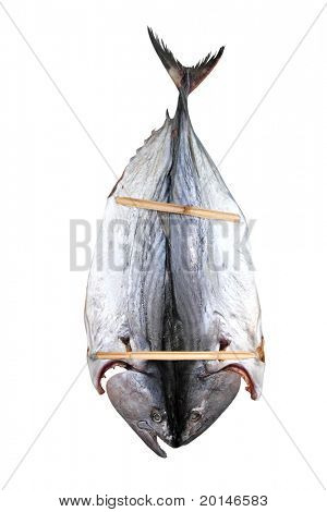 Bonito Thunfisch gesalzen Trockenfisch Mediteraranean Sarda Stil