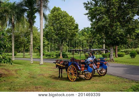 Horse Carts At The Borobudur In Indonesia