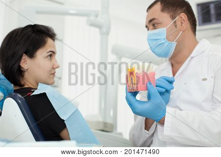 Male dentist talking with female patient. Dentist holding a model in his hand