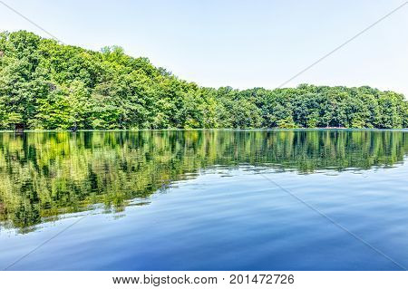 Burke Lake Trees Forest Woods Reflection In Summer On Bright Day With Clear Water