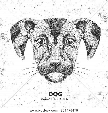 Hipster Animal Dog. Hand Drawing Muzzle Of Dog