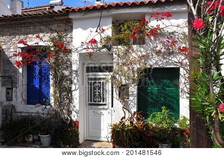 houses, plants and bougainvilleas on greek island Samos