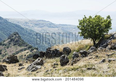 Gamla nature reserve located in the Golan Heights in Israel. View of the archaeological sites and sea of Galilee
