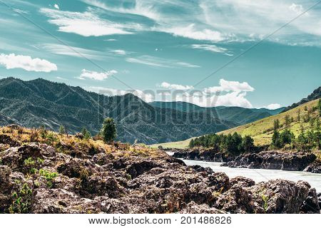 Beautiful day in Altai mountains settings: river with stony riversides mountains ridges in distance dramatic teal sky pine trees and meadows of native grasses Kuyus district Russia