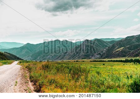 Autumn landscape with dirt road stretching between meadows with native grasses with Altai mountain-ridges in foreground and teal sky Kuyus district Russia