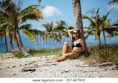 Pretty young woman in bikini and sunglasses is relax on a tropical beach under palm tree