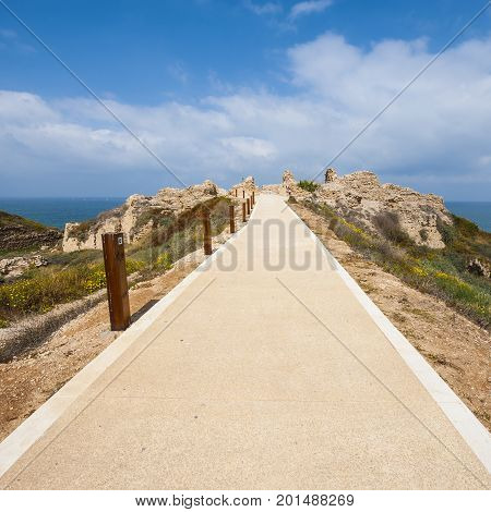 Ruins of the crusader fortress of the city Arsour in Israel. Dunes on the shore of the Mediterranean sea. Spring flowers in the Israeli Apollonia national park.