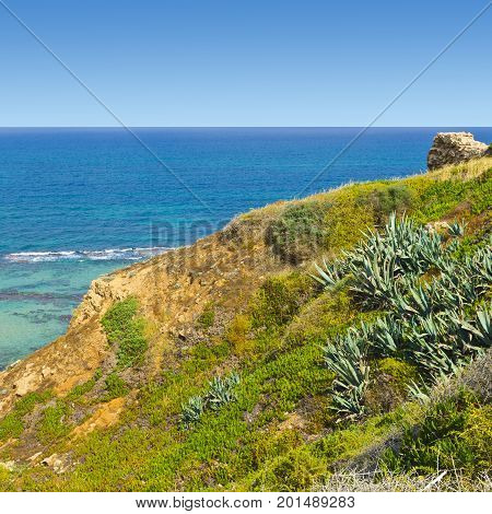 Ruins of the crusader fortress of the city Arsour in Israel. Dunes on the shore of the Mediterranean sea. Spring flowers in the Israeli Apollonia national park.
