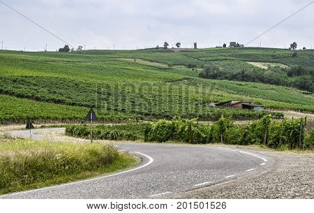 Rural landscape at summertime along the road from Vicobarone (Piacenza Emilia Romagna Italy) to Santa Maria della Versa (Pavia Lombardy) in the Tidone valley. Vineyards.