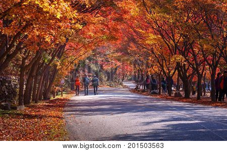 Naejangsan,korea - November 10, 2014: Naejangsan National Park In Autumn Season,south Korea On Novem