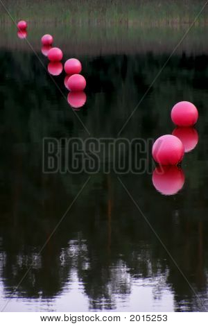 Розовый буев