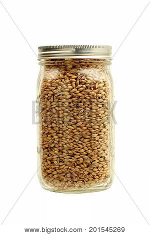 Malted Barley in a Mason Jar on a White Background