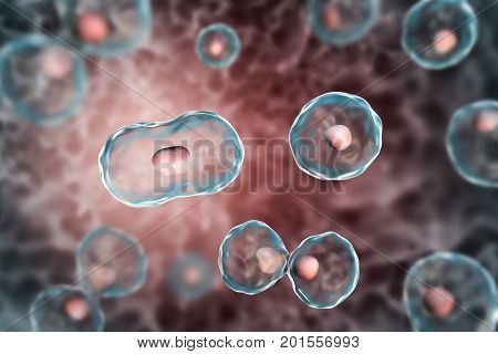 Dividing cells on colorful background, 3D illustration