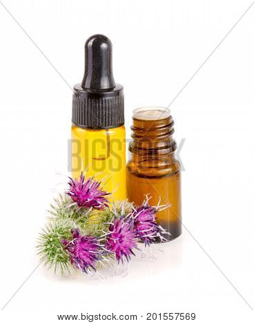 burdock oil in glass bottle and burdock flowers isolated on white background.