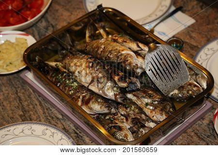 Fish grill / There are fish on the grill and grilled. An raw freshwater fish on the grill. Cooked in traditional style. Cooking of salted fish on a grill stove.