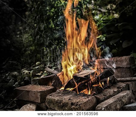 the tourists sparked a large fire to cook a meal in the woods