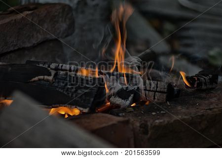 the dying fire that left the tourists turned into embers