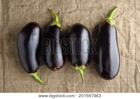 Four ripe black eggplants on linen cloth fabric. Rustic top view