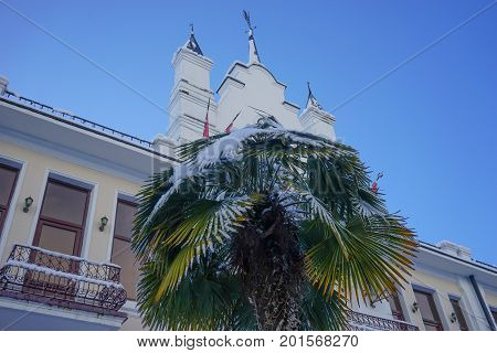 Palm tree covered with snow against the background of an old building attractions of Sukhum