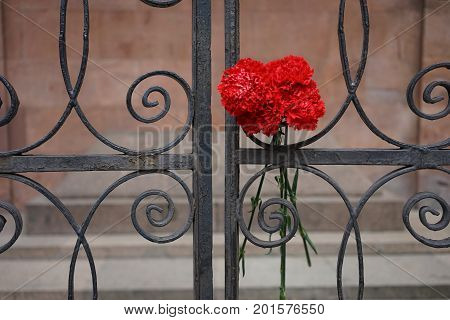 flowers at the grave of the great philosopher Kant forged metal grille in Kaliningrad