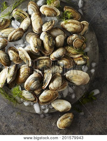 Raw whole clams on crushed ice sitting on an antique silver platter
