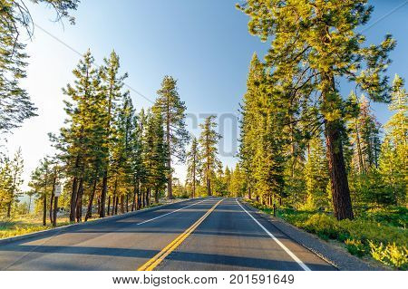 Beautiful road between the forest during sunset. at Yosemite National Park California, USA