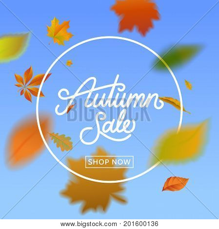 Autumn sale calligraphy on blue sky background with falling leaves . Fall sale banner with foliage. Template for promo advertising flyer poster. Vector eps 10.