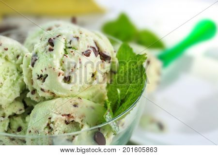 Dessert bowl with delicious mint chocolate chip ice cream, closeup