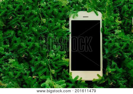 Mobile smart phone on green fearn top view