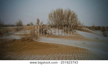 Snow in the Kyzylkum desert in Uzbekistan
