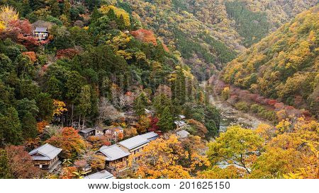 Top View Of Arashiyama At Fall