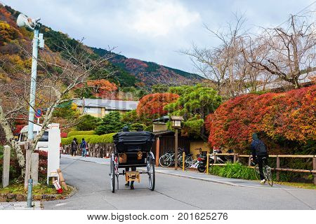 Rickshaw Riding At Arashiyama In Autumn