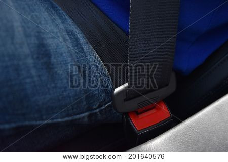 Close-up men wearing jeans And blue shirt Seat belt lock Drive safety.
