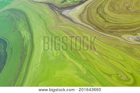 Natural patterns on Ukrainian river Dnepr covered by cyanobacterias as a result of phytoplankton evolution in hot seasons