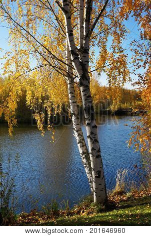Autumn, Beautiful Day In Fall Season
