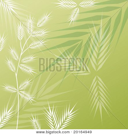 白い草緑