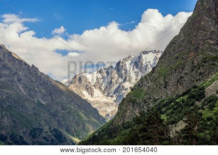 Amazing nature view of green mountain forest and tree growing on a rock, natural landscape perspective, Caucasus, Russia.