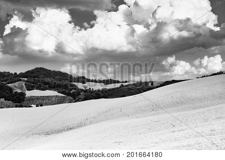 Rural landscape at summertime along the road from Santa Maria della Versa to Carmine (Pavia Lombardy). Black and white