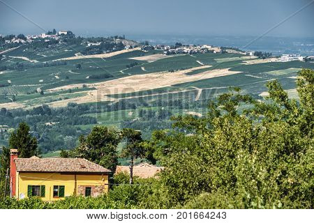 Rural landscape at summertime along the road from Santa Maria della Versa to Poggio Pornenzo (Pavia Lombardy)