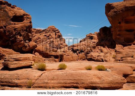 Landscape into Valley of fire in Nevada with mountains in background